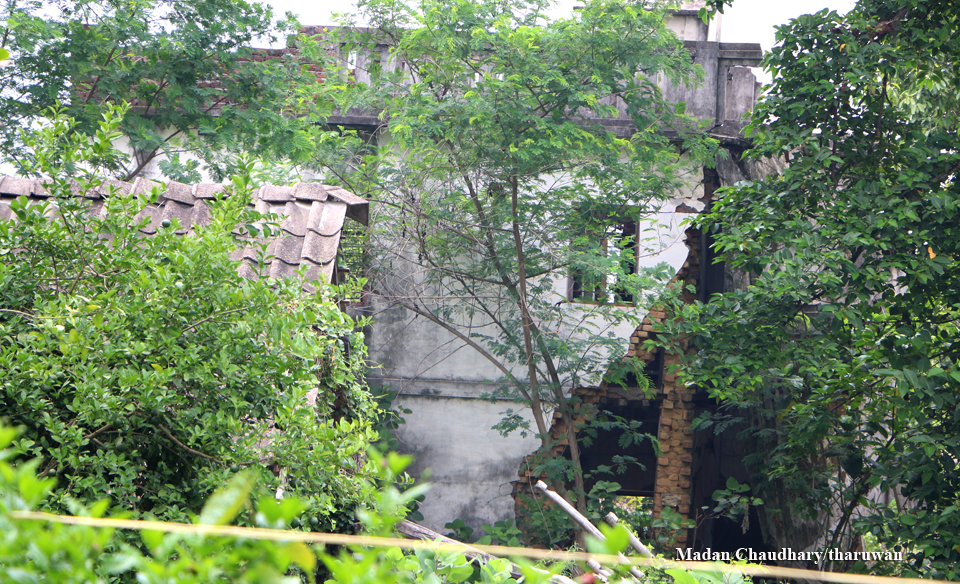 Gobardiha Durbar 11 Photo by Madan Chaudhary