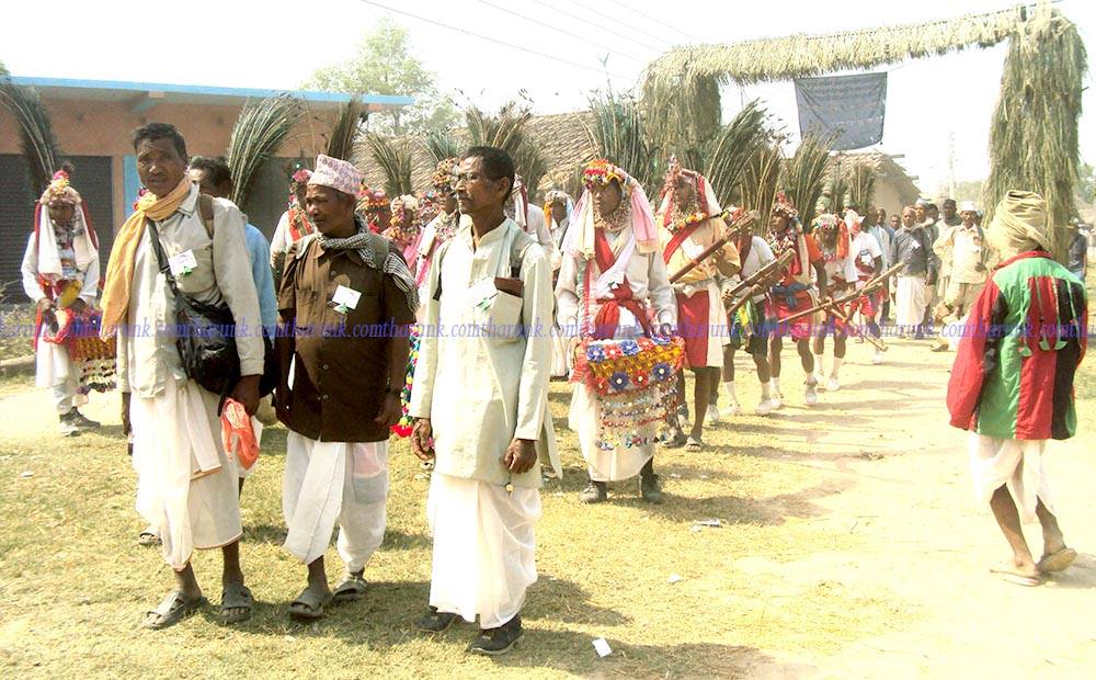 tharu dance 02