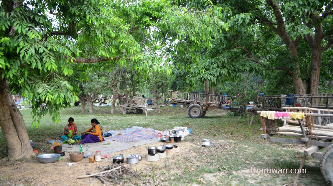 Badka Bhajahar_kailali_tharu 02