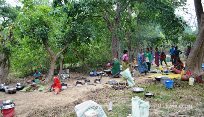 Badka Bhajahar_kailali_tharu 03