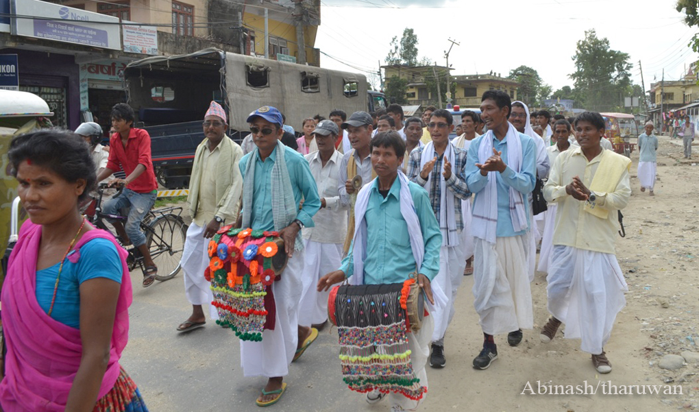 Tharu Festice Gurahi 03