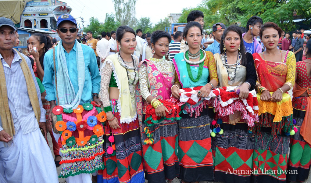 Tharu Festice Gurahi 12