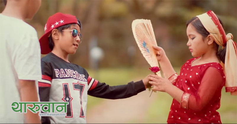 ‘आइ एम भेरी सरी’को कभर गीतमा अभय र आयुष चौधरीको कमाल