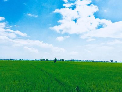 थरूहट क्षेत्रमा जग्गाको मूल्य आकाशियो