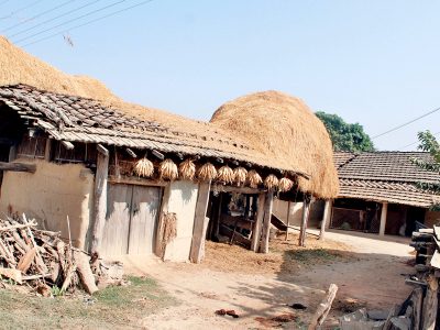 थातथलो छाडेर कता गए राना थारू ?