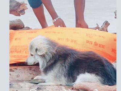 जब हैरानी चौधरीको शव पछ्याउँदै चितामा चढ्यो कुकुर