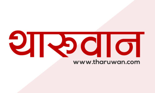चितुवा र पाटेबाघको आक्रमणमा परी ७ वर्षीय आदित्य चौधरीको मृत्यु, ४ जना घाइते