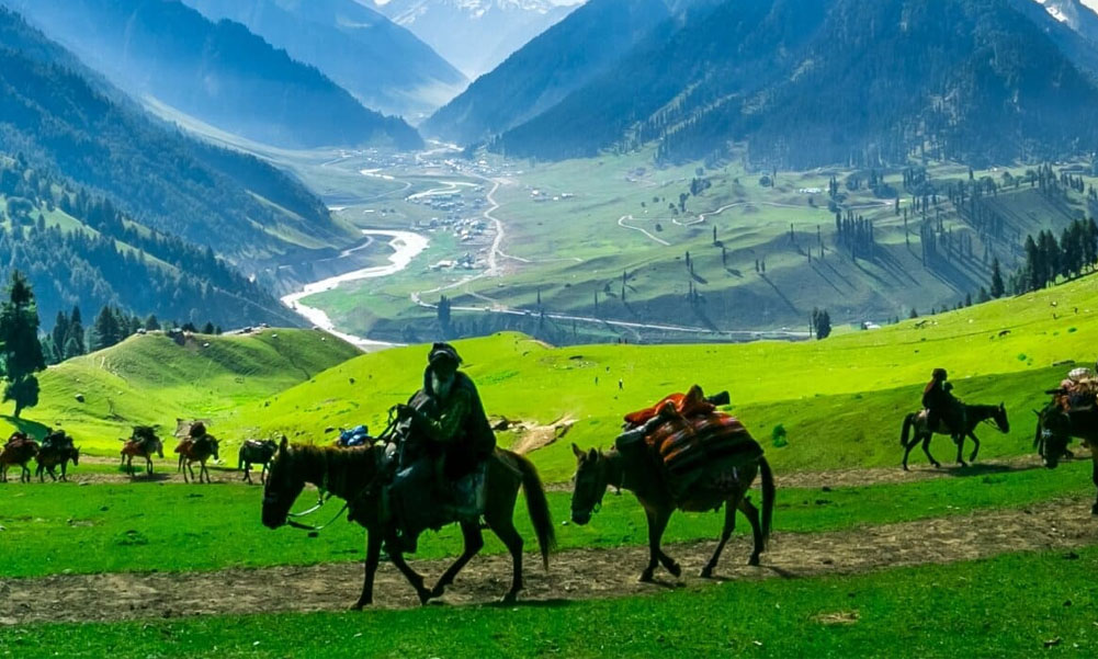 धारा ३७० खारेजीपछि जम्मू-कश्मीरमा अभूतपूर्व पर्यटन वृद्धि