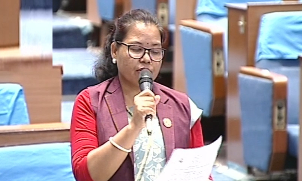 किशोरीको डिम्ब व्यापार गर्नेलाई कारबाही गर्न सांसद चौधरीको माग, मलिनी चौधरीसहित ५ जनाविरुद्ध चल्दैछ मुद्दा