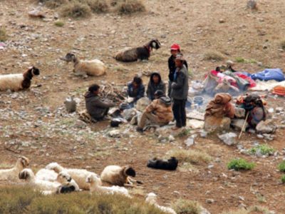 सीमापार चरन सम्झौता विपरीत चिनियाँ सेनाद्वारा नेपाली पशुपालकमाथि दुर्व्यवहार र कुटपिट