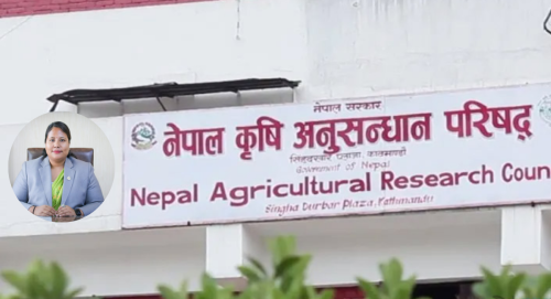 बेपत्ता अधिकृतसहित नार्कका दुई कर्मचारीलाई कृषि मन्त्रीले गरिन् बर्खास्त